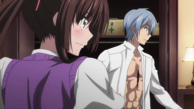 Strike the Blood, Fiesta for the Observers I