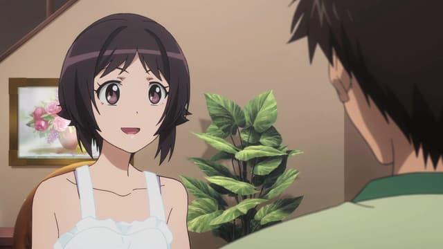 Photokano, Mutual Feelings