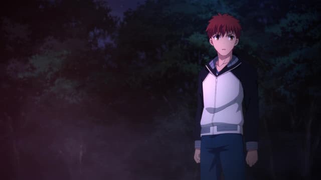 Fate/stay night: Unlimited Blade Works, Incarnation