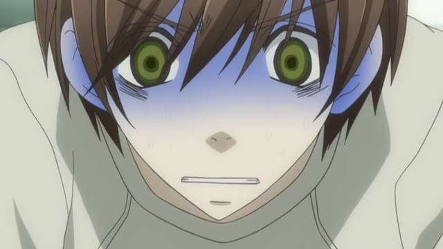 Sekaiichi Hatsukoi OVA, A good beginning makes a good ending