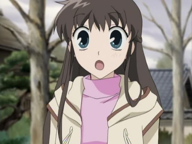 Fruits Basket, 