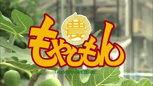 Moyashimon Returns, The Story of the Agricultural University Microbes