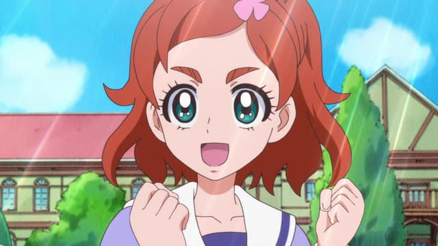 Go! Princess Precure, Goodbye? You Can’t Keep Pafu!