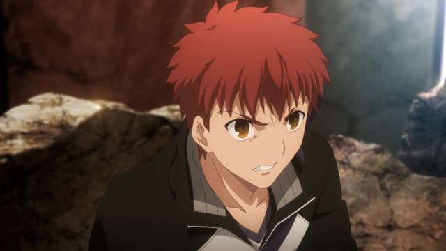 Fate/stay night: Unlimited Blade Works, Winter Days, The Form Wishes Take