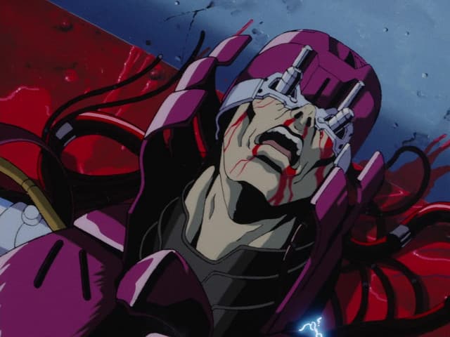 Cyber City OEDO 808, The Decoy Program