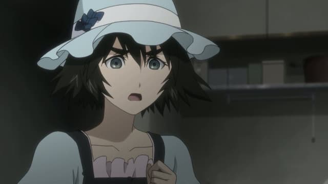 Steins;Gate, Fractal Androgynous