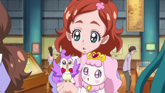 Go! Princess Precure, The Picture Book’s Secret! What is a Princess?