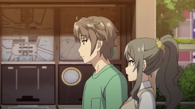 Seishun Buta Yarou wa Bunny Girl Senpai no Yume wo Minai, Adolescence Paradox