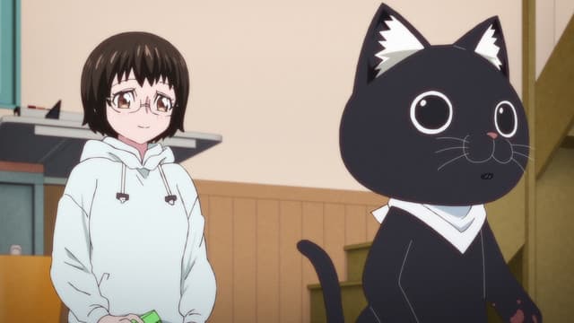 Ramen Aka Neko, A Closed-Door Hire \ The Athletic Black Cat