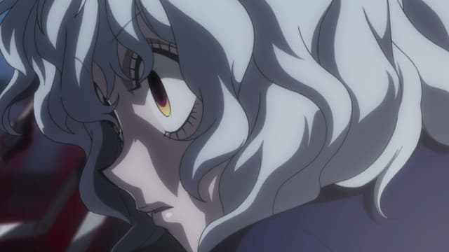 HUNTER×HUNTER (2011), Revenge X And Recovery