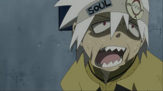 Soul Eater, Shape of the Soul - Enter the Ultimate Meister Stein?