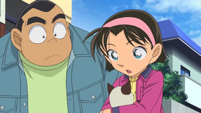 Meitantei Conan, Haibara Ai Imprisonment Case