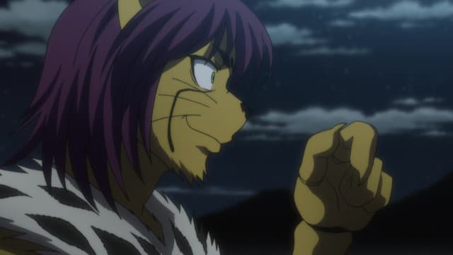 HUNTER×HUNTER (2011), Insult X And X Payback