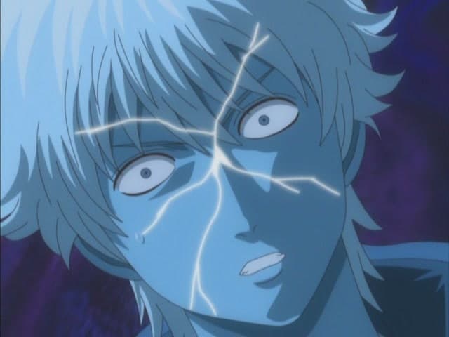 Gintama.: Shirogane no Tamashii-hen, Pets Resemble Their Owners