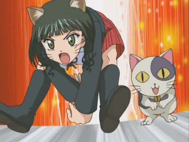 Gakuen Alice, Mr. Narumi's a Liar
