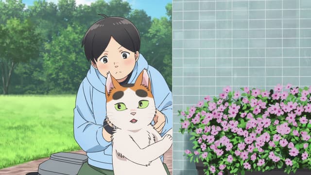 Tonari no Youkai-san, 