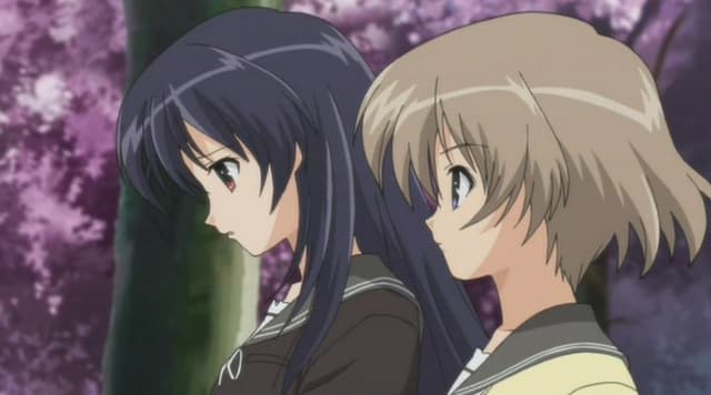 Myself ; Yourself, Non-blooming Sakura Blossoms