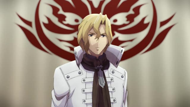 GOD EATER, Aegis