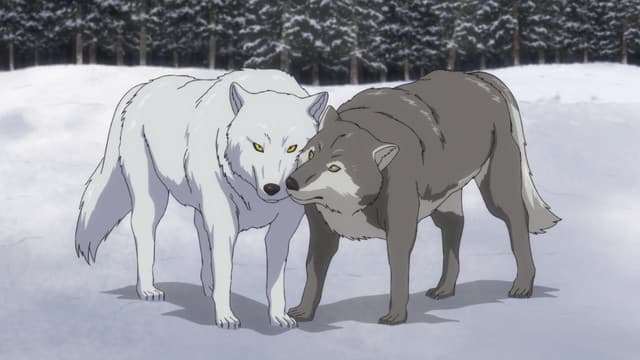 Golden Kamuy 2nd Season, Complication