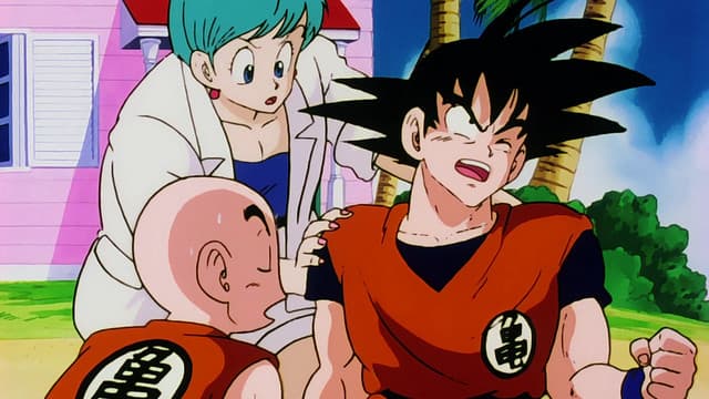 Dragon Ball Z, Unlikely Alliance