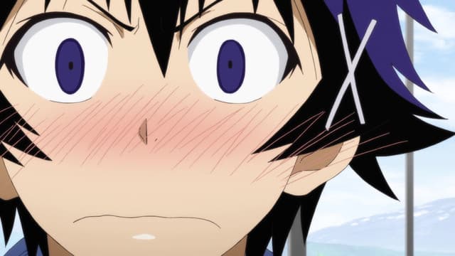 Nisekoi, Lottery