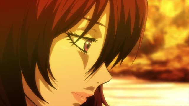 Basilisk: Ouka Ninpouchou, The Butterfly Dances
