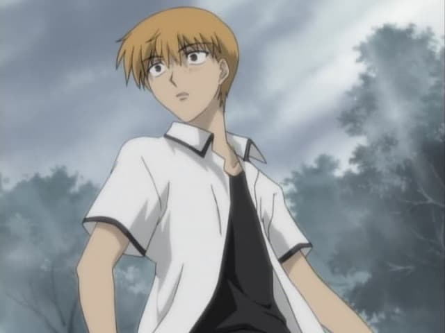 Fruits Basket, 