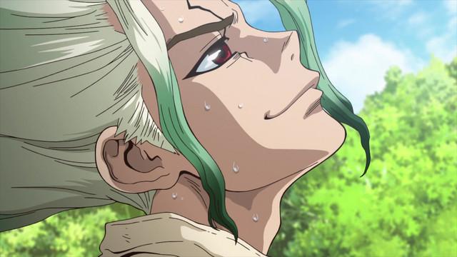 Dr. STONE: STONE WARS, Stone World