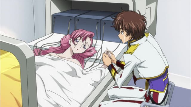 Code Geass: Hangyaku no Lelouch R2, Stage 23 - At Least with Sorrow