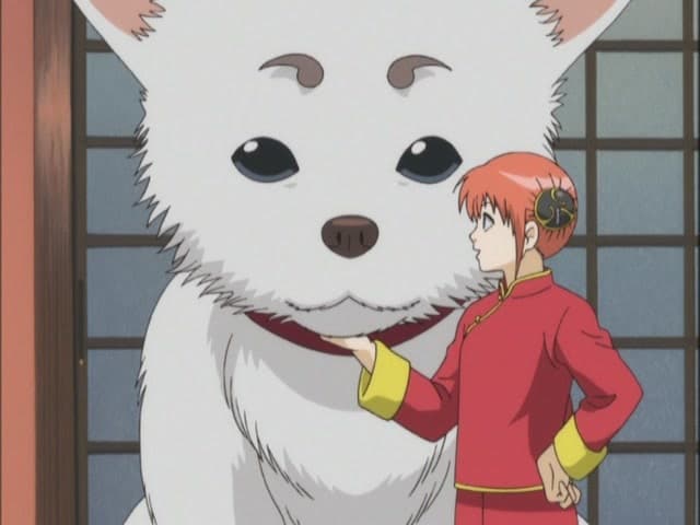 Gintama, Eat Something Sour When You’re Tired