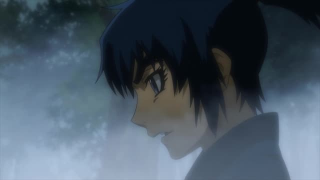 Basilisk: Ouka Ninpouchou, The Cherry Blossoms Run Mad
