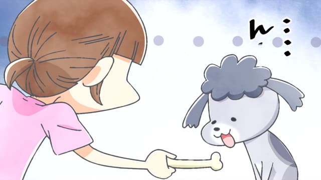 Inu to Neko Docchi mo Katteru to Mainichi Tanoshii, Birthday