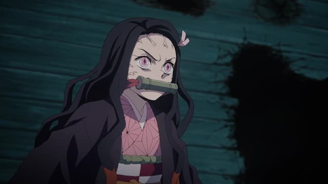 Kimetsu no Yaiba, Together Forever