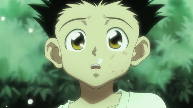 HUNTER×HUNTER (2011), Light X And X Dark