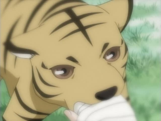 Fruits Basket, 