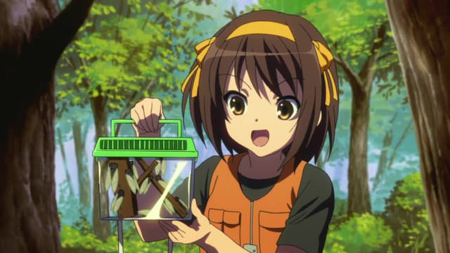 Suzumiya Haruhi no Yuuutsu, Endless Eight VII