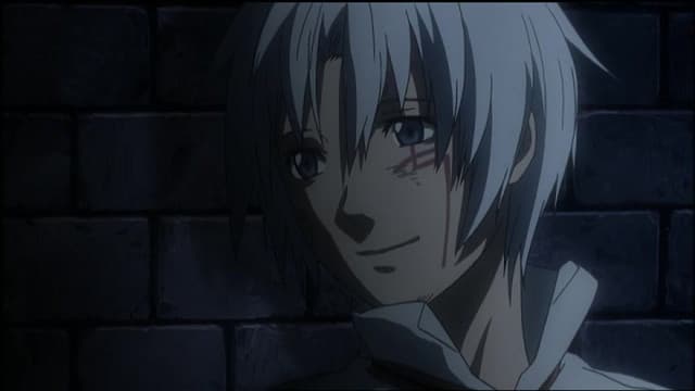 D.Gray-man, The Boy Who Hunts Akuma