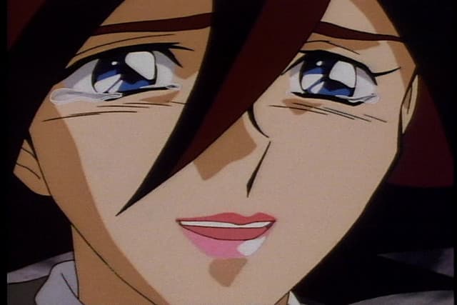Kidou Butouden G Gundam, The Ruthless Fight! Schwarz's Last Match