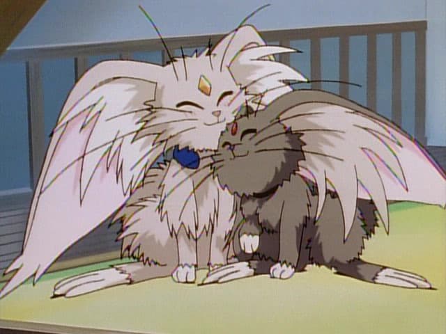 Tenchi Muyou!, No Need for Ryoko