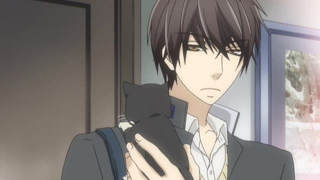 Sekaiichi Hatsukoi OVA, Love is bittersweet