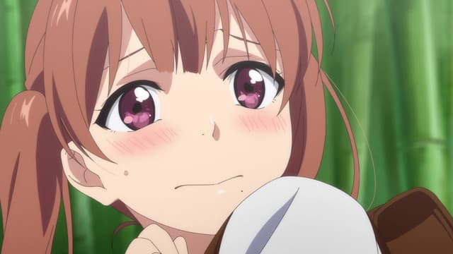 Rokuhoudou Yotsuiro Biyori, The Teahouse's Secrets