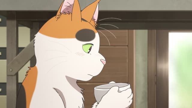 Tonari no Youkai-san, 