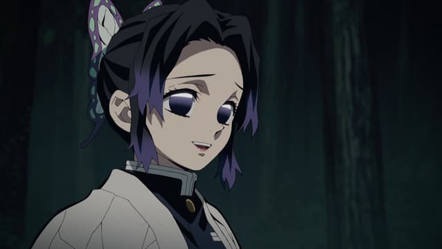 Kimetsu no Yaiba, Against Corps Rules