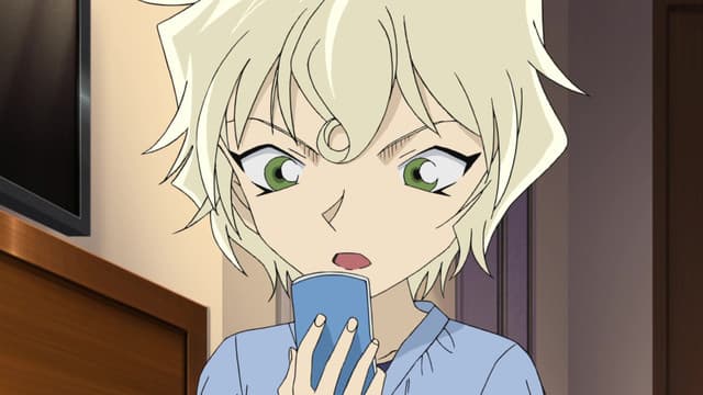 Meitantei Conan, The Mystery Sinking in the Midsummer Pool (Part 1)
