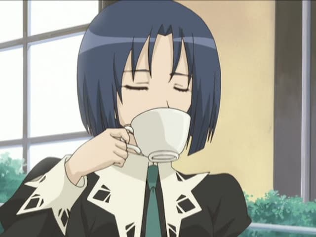 Strawberry Panic, Secret