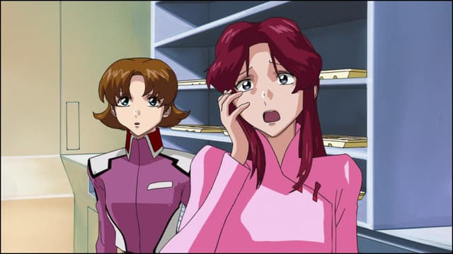Kidou Senshi Gundam SEED, PHASE-08 The Songstress of the Enemy Forces