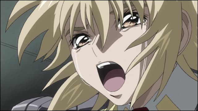 Kidou Senshi Gundam SEED, PHASE-41 What Stands in the Way