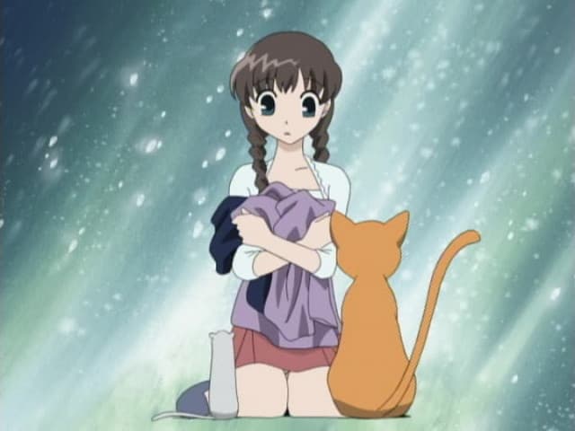 Fruits Basket, 