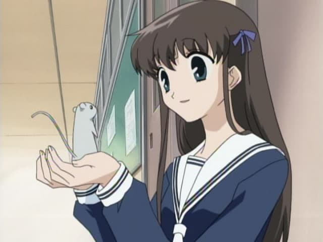Fruits Basket, 