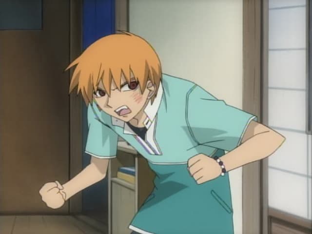 Fruits Basket, 